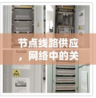 节点线路供应，网络中的关键基础设施