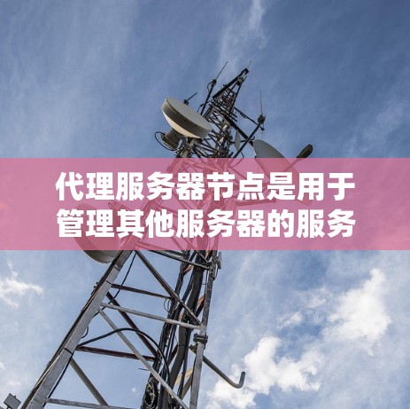 代理服务器节点是用于管理其他服务器的服务器，提供自动化配置、服务器管理、监控和扩展能力。以下是代理服务器节点的详细介绍