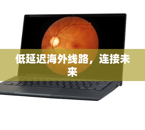 低延迟海外线路,连接未来 低延迟海外线路,连接未来