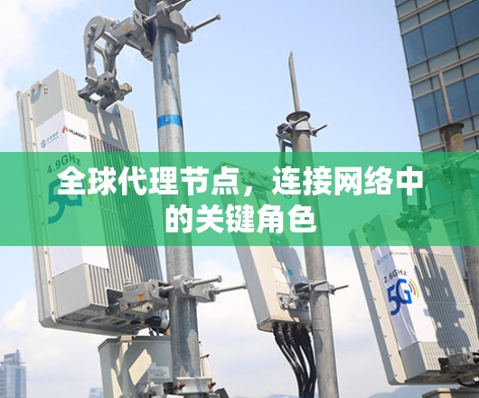 全球代理节点,连接网络中的关键角色 全球代理节点,连接网络中的关键角色