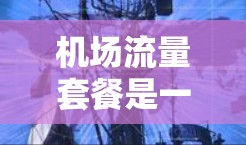 机场流量套餐是一种为乘客提供流量限制和优惠的服务，旨在平衡用户体验和经济性。以下是详细介绍