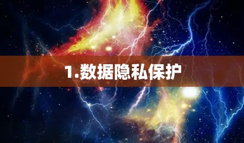 1.数据隐私保护